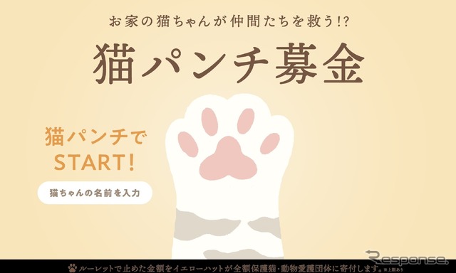 イエローハット:猫パンチ募金