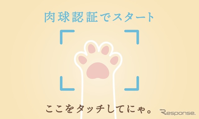 イエローハット:猫パンチ募金