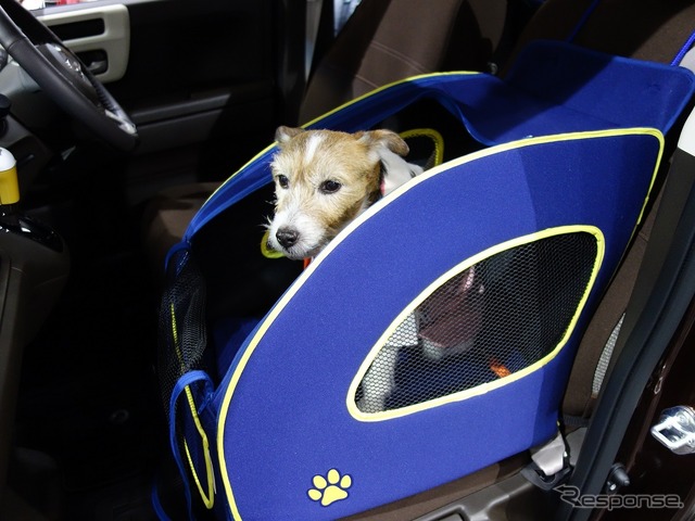 Honda Dogシリーズのペット用アクセサリーが用意されているのが強み(ホンダ ステップワゴン)
