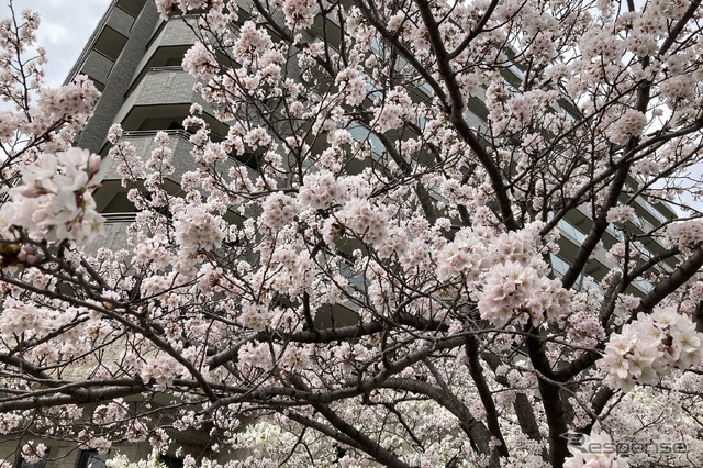 （イメージ）