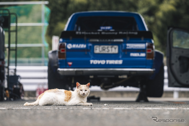FURSTY / Red Bull with Team Magic TOYO TIRES Drift