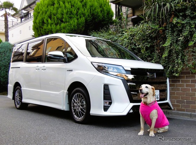 愛犬とドライブするのに役立つクルマの機能&装備とは? その1