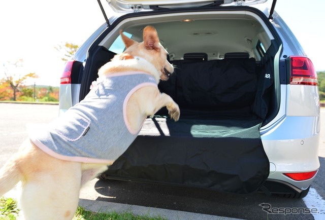 愛犬とドライブするのに役立つクルマの機能&装備とは? その1