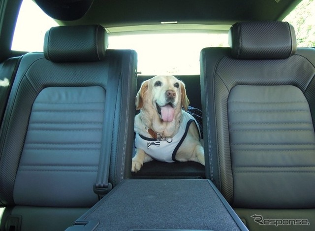 愛犬とドライブするのに役立つクルマの機能&装備とは? その1
