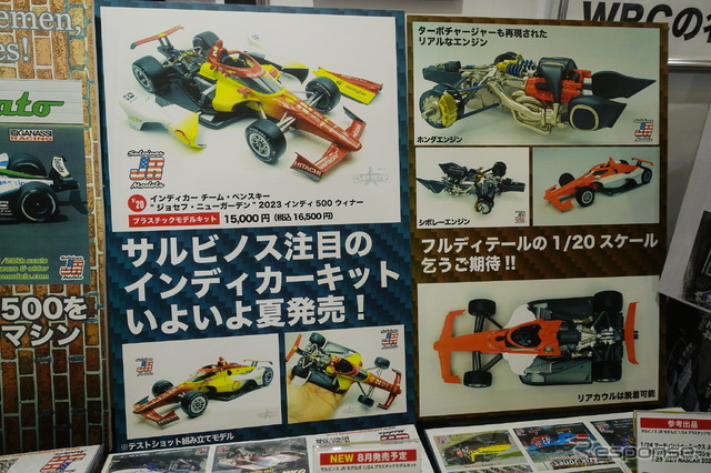 サルビノスのインディカー