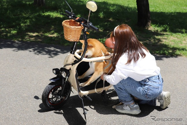 愛犬と旅する電動バイク『Doggie』を発売…愛犬家夫婦が考案