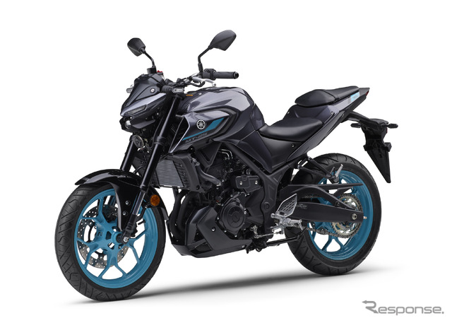 ヤマハ MT-25 ABS 2024年モデル(ダークブルーイッシュグレーメタリック8)