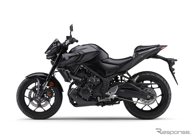 ヤマハ MT-25 ABS 2024年モデル(マットダークグレーメタリック8)