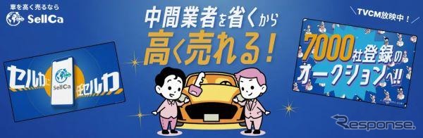 セルカLP画像