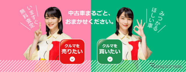 アップルLP画像