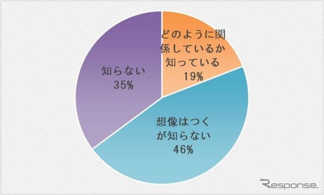モータインパクトレポート