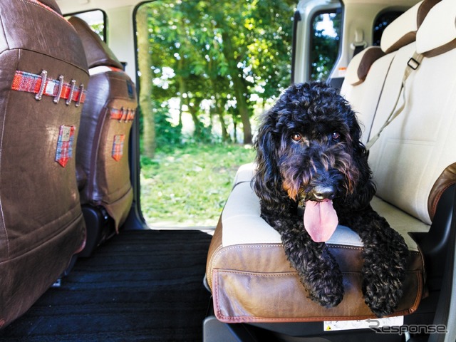 トイファクトリー、愛犬家向け新シートカバー「to.mo.ne.(と・も・に) シートカバー【IRISH Style】」を新発売