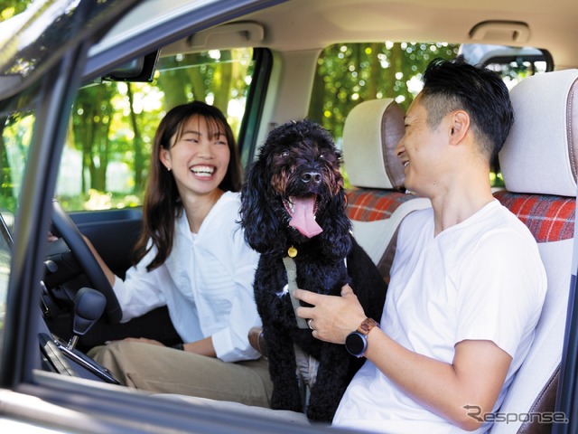 トイファクトリー、愛犬家向け新シートカバー「to.mo.ne.(と・も・に) シートカバー【IRISH Style】」を新発売