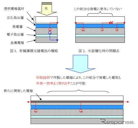 大日本印刷、50mm角程度の大型の有機薄膜太陽電池を開発