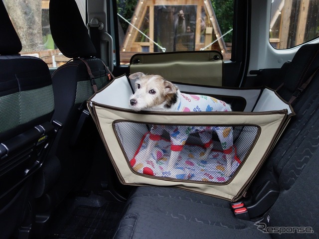 筆者の愛犬のララ