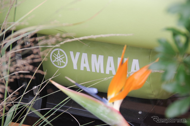 「Local Green Festival '24」に展示されたヤマハのグリーンスローモビリティ