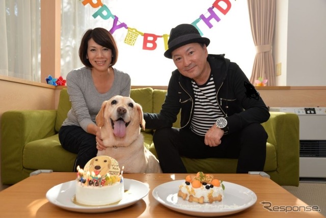 後で悔やんでも遅い! 愛犬とドライブ旅行を重ねる意味と理由