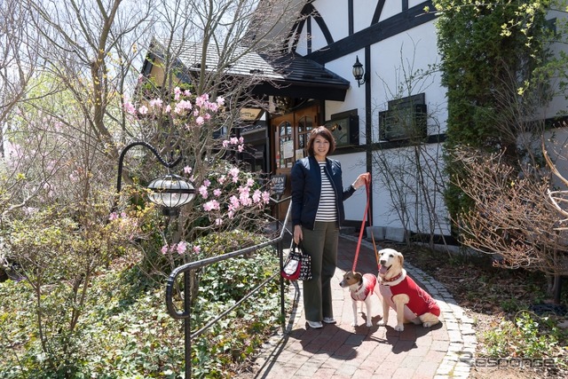 後で悔やんでも遅い! 愛犬とドライブ旅行を重ねる意味と理由