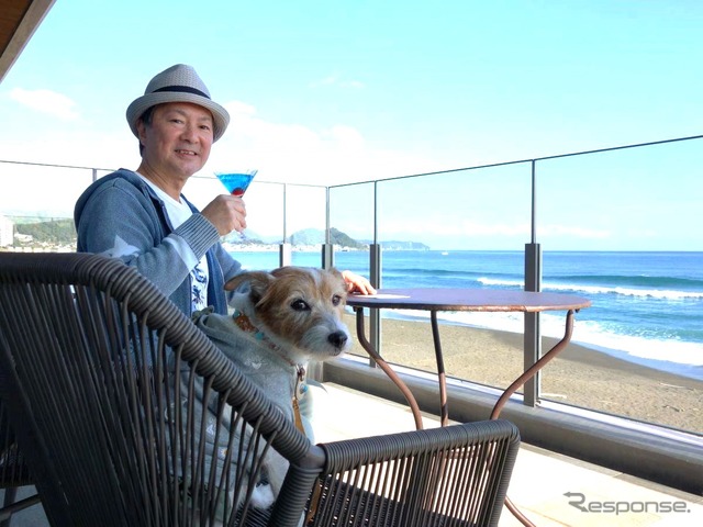 後で悔やんでも遅い! 愛犬とドライブ旅行を重ねる意味と理由