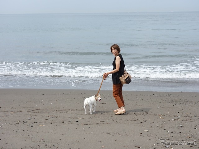 後で悔やんでも遅い! 愛犬とドライブ旅行を重ねる意味と理由
