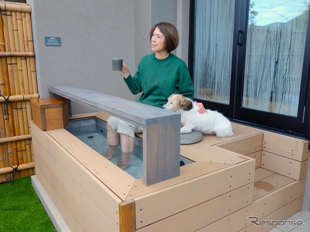 後で悔やんでも遅い! 愛犬とドライブ旅行を重ねる意味と理由