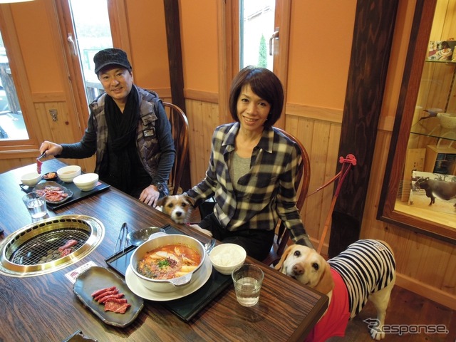後で悔やんでも遅い! 愛犬とドライブ旅行を重ねる意味と理由