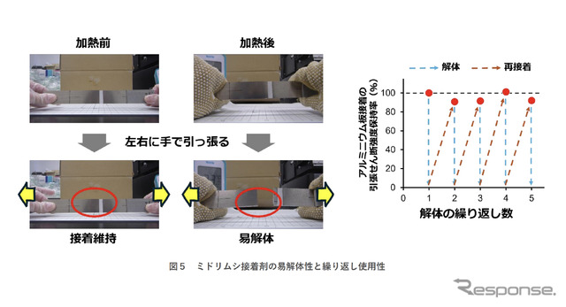 繰り返し使用できるミドリムシ接着剤