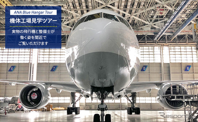 ANA Blue Hangar Tour（機体工場）