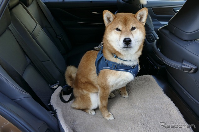 トヨタ・クラウン(セダン)