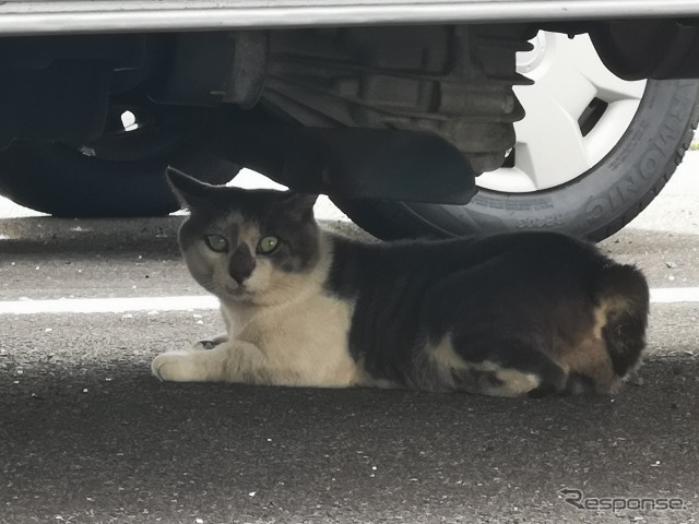 （イメージ）
