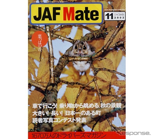 目立つ色、目立たない色……時間によって違うんだ