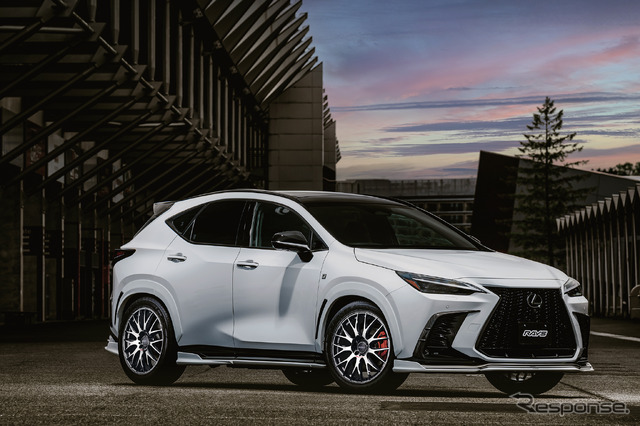 RAYS HOMURA 2x9Plus JET BLACK EDITION IV × LEXUS NX