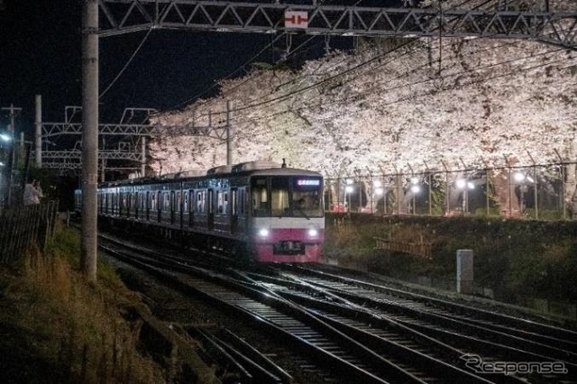 8900形とライトアップされた桜（2021年撮影）