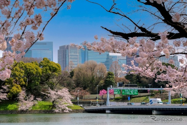 千鳥ヶ淵(東京都千代田区)