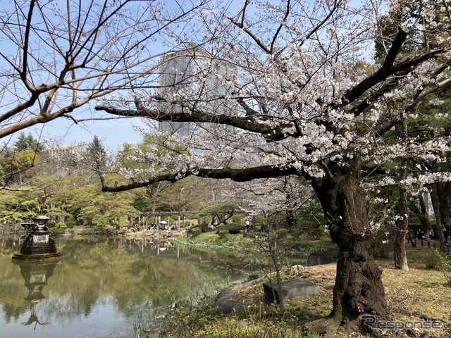 3月27日、日比谷公園(東京都千代田区)