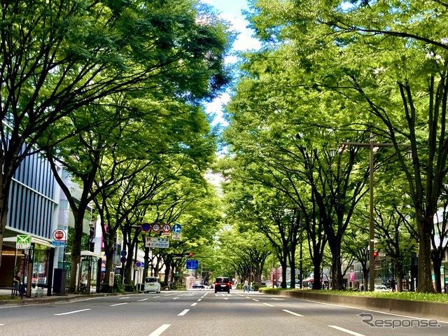 走りも快適性も守る! 車高調、オイル、電装系まで“お手入れ完全マニュアル”~カスタムHOW TO~