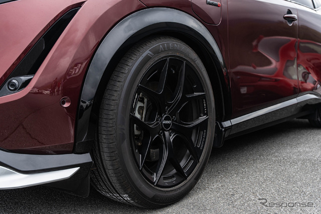 NISSAN アリア × ホムラ 2×5FT…レイズファンミーティング2025