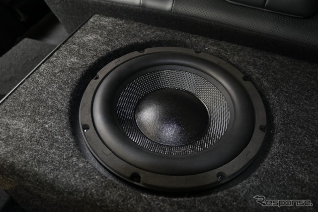 サブウーファーユニットはDEERブランドのRJ250をチョイス。音源をそのままで再現するサウンドには欠かせないピースとなった。
