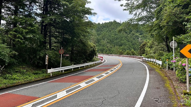 箱根ターンパイク