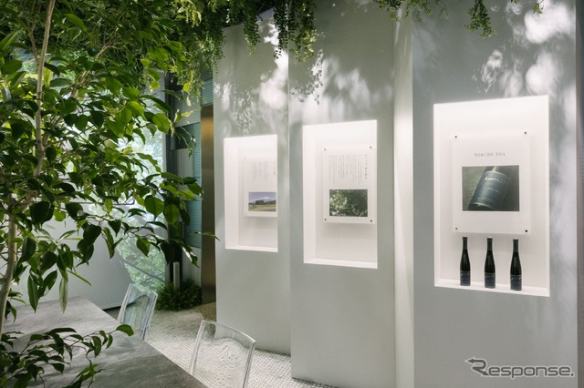 「MORIZO TEA（モリゾウティー）」を五感で体感できる特別展示
