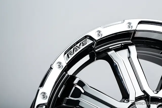 TEAM DAYTONA FDX-K COLLECTION レイズブラックメタルコート