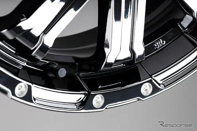 TEAM DAYTONA FDX-K COLLECTION レイズブラックメタルコート