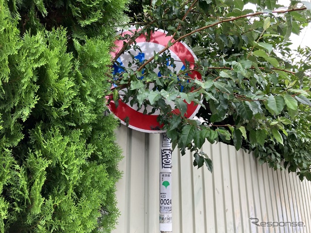 見えない……
