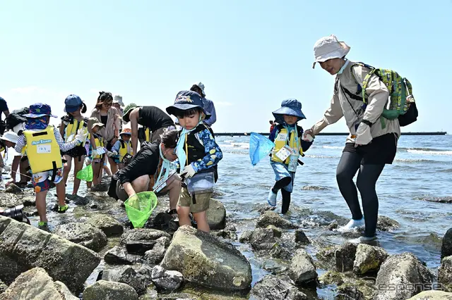 ホンダアクセス子育て応援隊 海の自然体験イベント