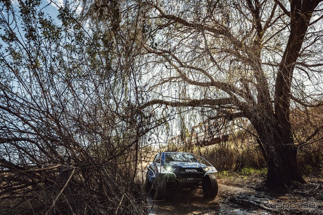 W2RC『SOUTH AFRICAN SAFARI RALLY』