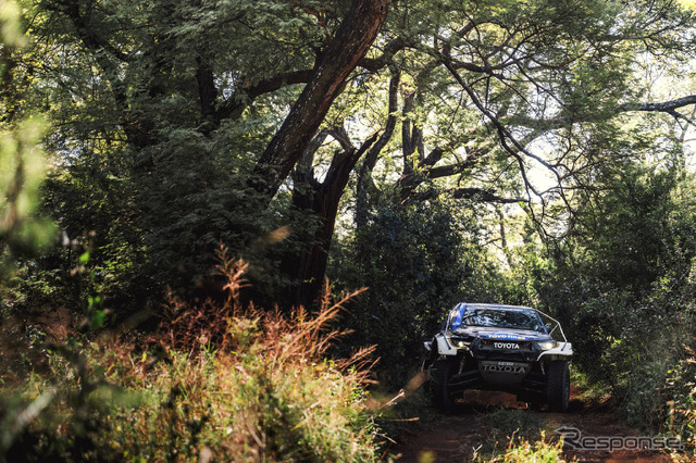 W2RC『SOUTH AFRICAN SAFARI RALLY』