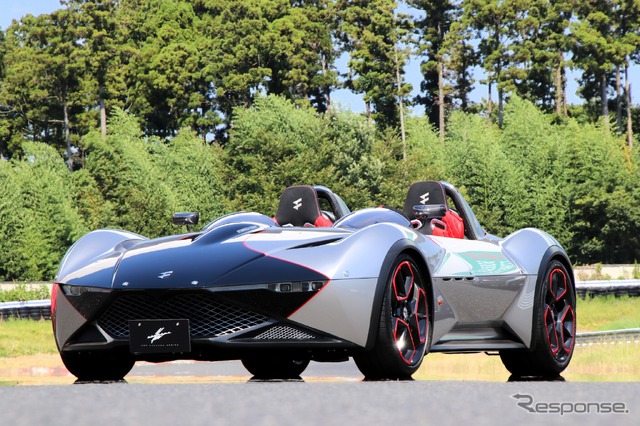 Ken Okuyama Cars F61Hバードケージ