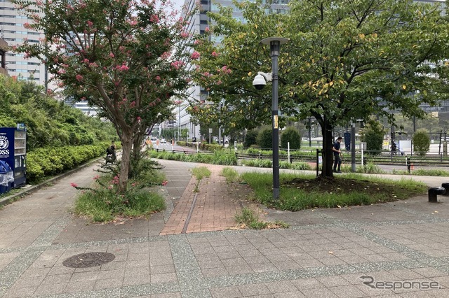 専用線のレールが埋め込まれた歩道。場所と位置は当時を再現したという（豊洲3丁目）