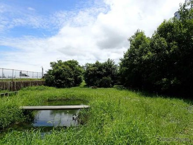 三重工場内の緑地