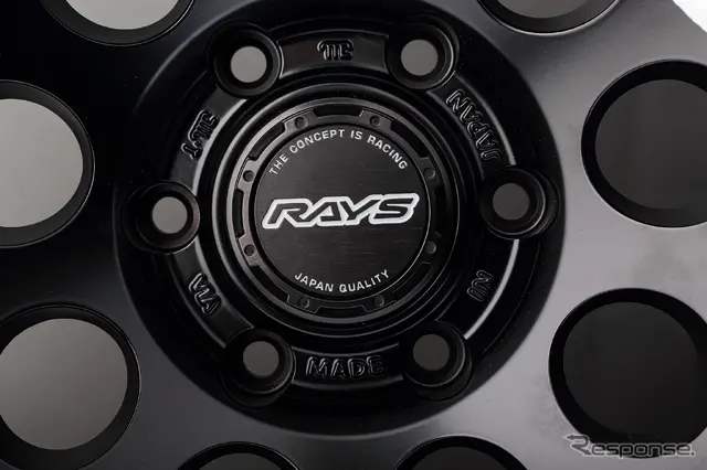 レイズ DAYTONA D9